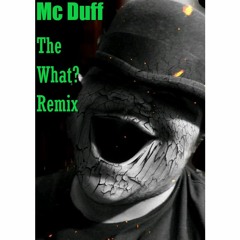 The What?  Biggie Smalls Ft Method man (Mc Duff Remix)