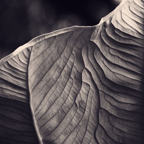mattimatti - Efter Regnet (Sasomo Bootleg Remix)