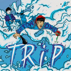 DMC & Coton Blanc - Trip