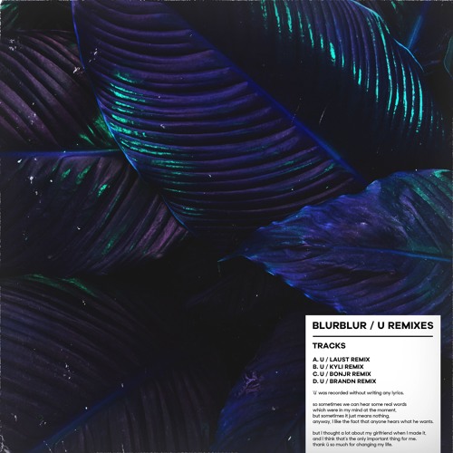 blurblur - ü (bonjr remix)