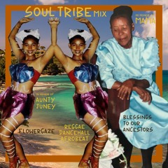 SOUL TRIBE: SUMMER MIX