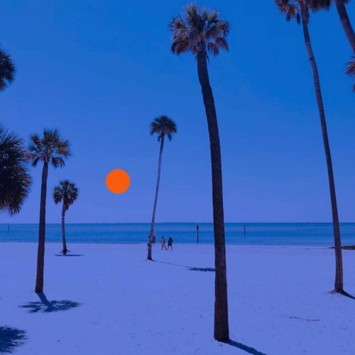 Spring 2019