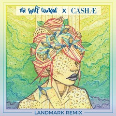 Landmark (Remix) - The Spill Canvas, CASHAE