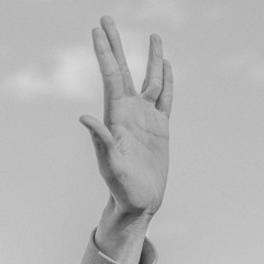 fly (N.E.R.D. - "Fly or Die" cover)