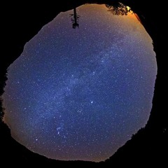 양희은_내 생애 가장 아름다운 말