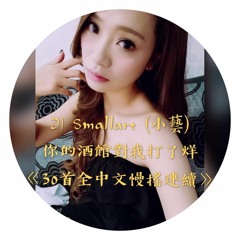 DJ Smallart (小藝)_你的酒館對我打了烊 《30首全中文慢搖連續》