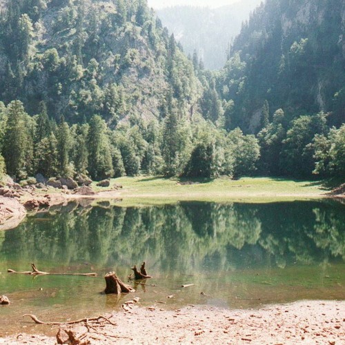 Nature Wakes (Motion X _ remix)