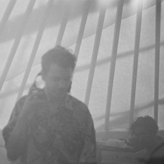 Pipholp - Bank 5 (live Record)