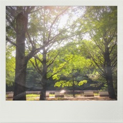 June's Air