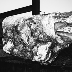 02 - Gardens of God - Zero Two