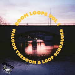 Boom Loops Vol 1