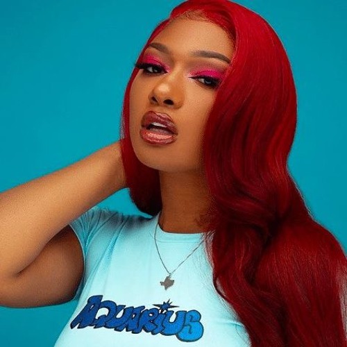 Megan The Stallion Cash Shit Remix