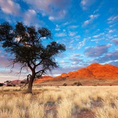 L'Afrique Électronique