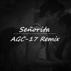 Shawn Mendes & Camilla Cabello - SEÑORITA (AGC-17 Remix)