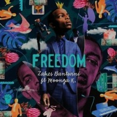 Zakes Bantwini ft Moonga K - Freedom (Megatronik's Deeptronik Mix)