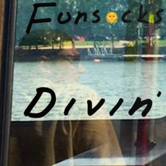 Funsocks_Divin'