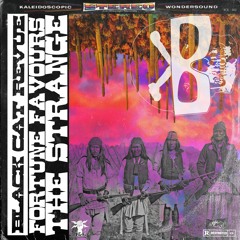 Little Johnny/Sister Ray