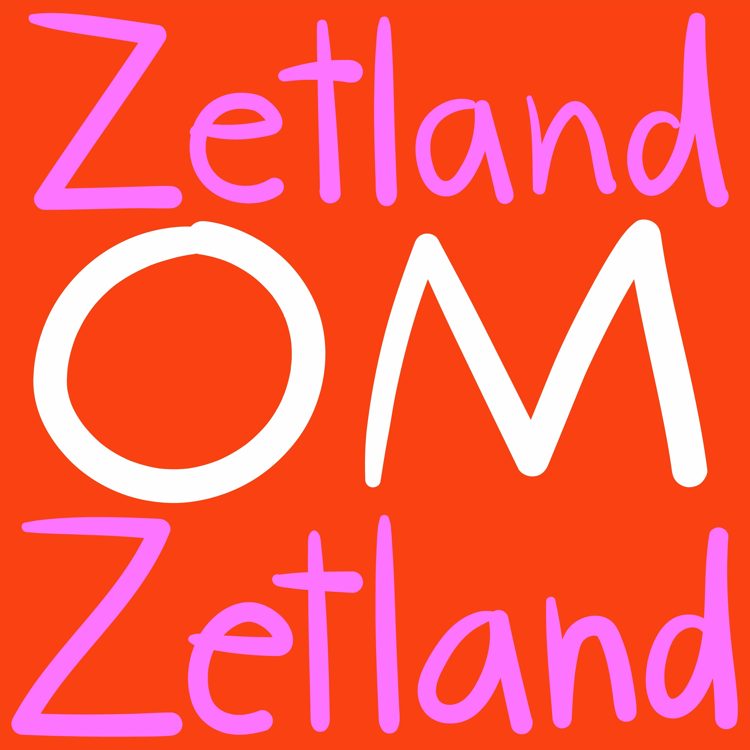 Project zetland. Манчестер частные дома. Project zetland. Задание 38 егэ английский 2023. Задание письмо егэ английский 2022.