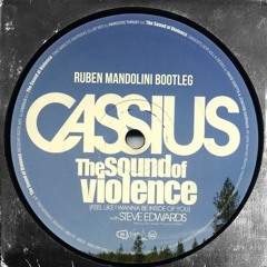 Cassius - The Sound Of Violence (Ruben Mandolini 2011 Bootleg) FREE DOWNLOAD