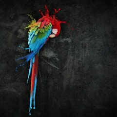 Narri Nerro - Parrot Parrot