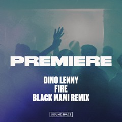 Premiere: Dino Lenny - Fire (Black Mami Remix) [Fine Human]