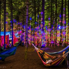 Hallucinogenic Drift