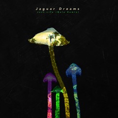 Jaguar Dreams - Just Life (Nala Remix)