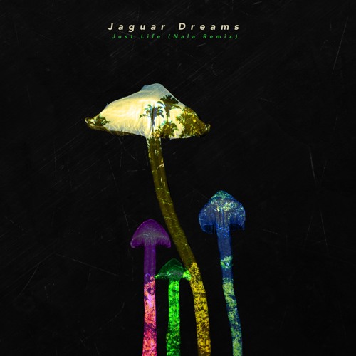 Jaguar Dreams - Just Life (Nala Remix)