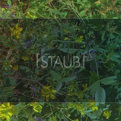 LEGA @ STAUB (recorded live - Berlin  ://About Blank)