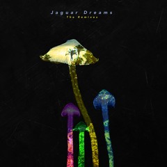 W3tm44zdq9rzgm https soundcloud com jaguar dreams