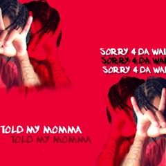 TOLD MY MOMMA