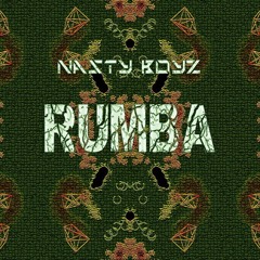 Nasty Boyz - Rumba (Original Mix)