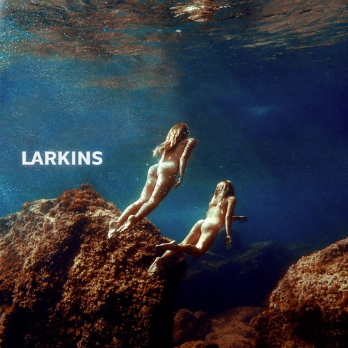 Larkins - Wallflower