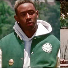 Glitter Demo Tyler, The Creator (30 Mins)