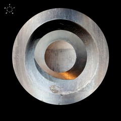 Florian Meindl - Wild Sequence 4 [ FLASH Recordings ]