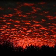 Mak Bandz x Superstar Bo - Kaos