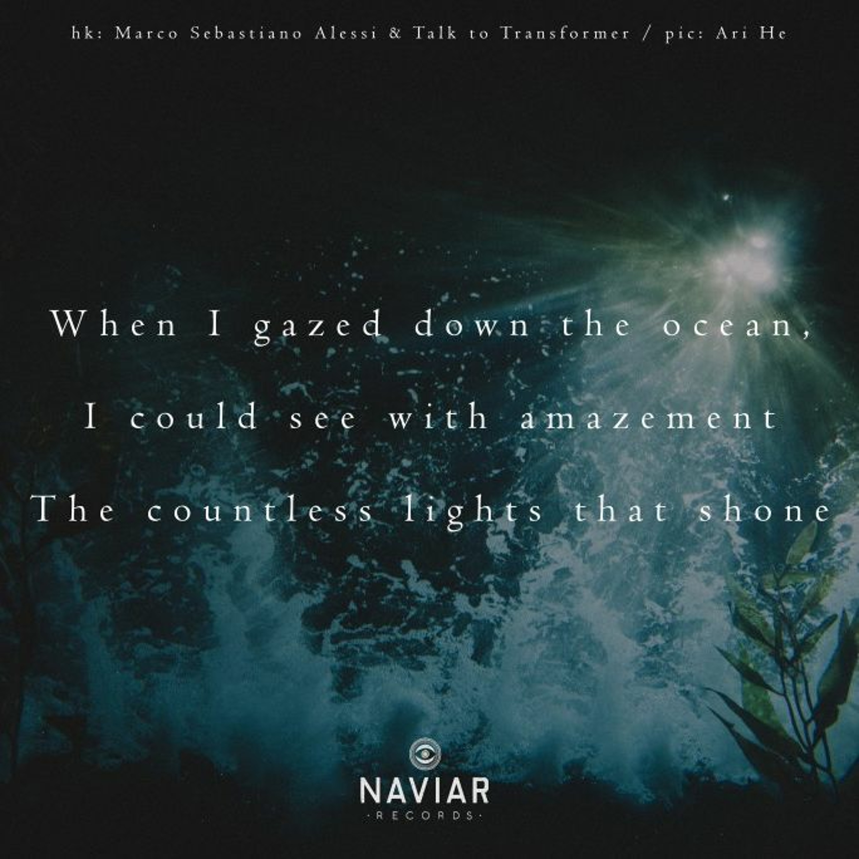 john e\'s Unnecessary Haiku Enterprises (Naviar)