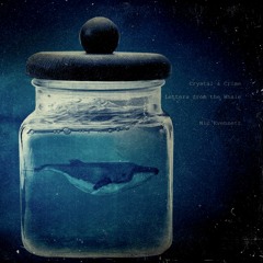 *BONUS EP TRACK* ~ Letters From the Whale (Crystal & Crime)