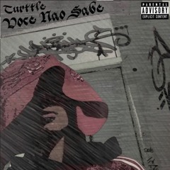 Turttle - "Você não sabe quem eu sou"
