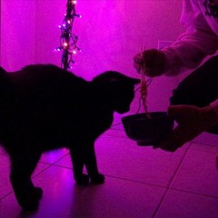 scryer X 4evr - i cant float on just yet