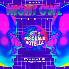 Night Owl Radio 202 ft. Project:Z 2019 Mega-Mix
