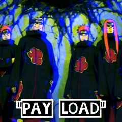 Pay Load