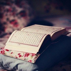 فَسَتَذْكُرُونَ مَا أَقُولُ لَكُمْ | أحمد النفيس