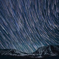 Warp Speed - A Trip Through Bass Musik