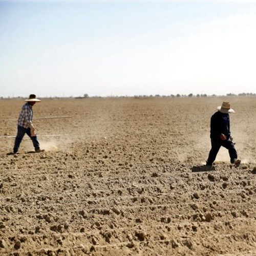 Mike Martinez - Perceptions 009