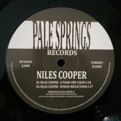 Niles Cooper - A Piano And A Bass