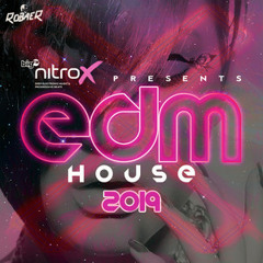 EDM HOUSE 2019 presented by bigFM nitroX