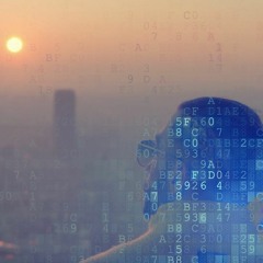 PNL - Au DD (Starship Loopers Remix)