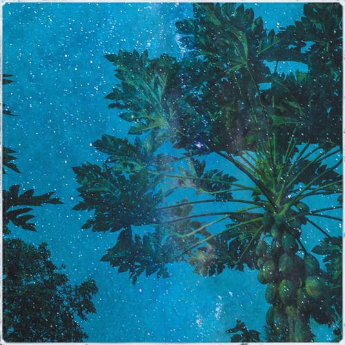 Amber Skies ft. Wilczynski