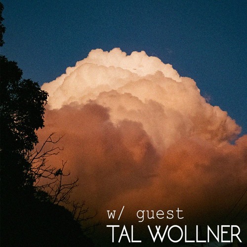 32 SLOWCASE // Tal Wollner